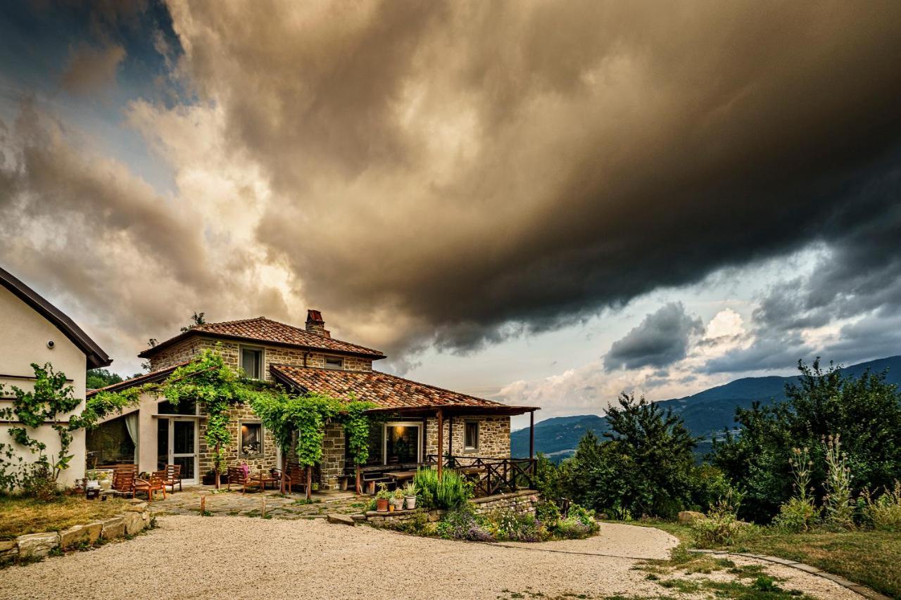 בניו די רומניה Agriturismo Biologico Autosufficienza מראה חיצוני תמונה