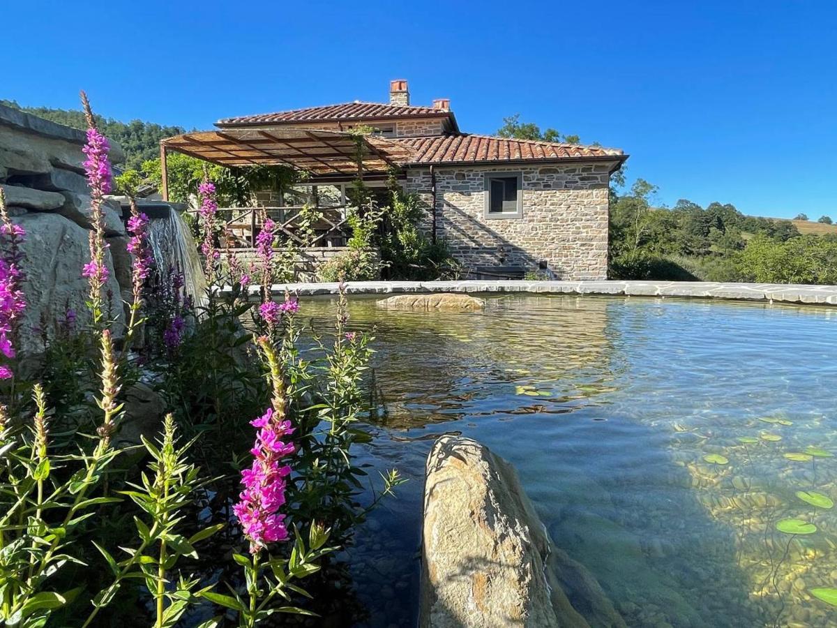 בניו די רומניה Agriturismo Biologico Autosufficienza מראה חיצוני תמונה