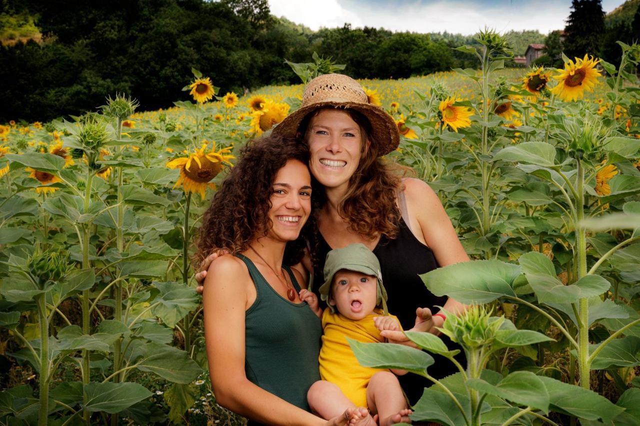 בניו די רומניה Agriturismo Biologico Autosufficienza מראה חיצוני תמונה