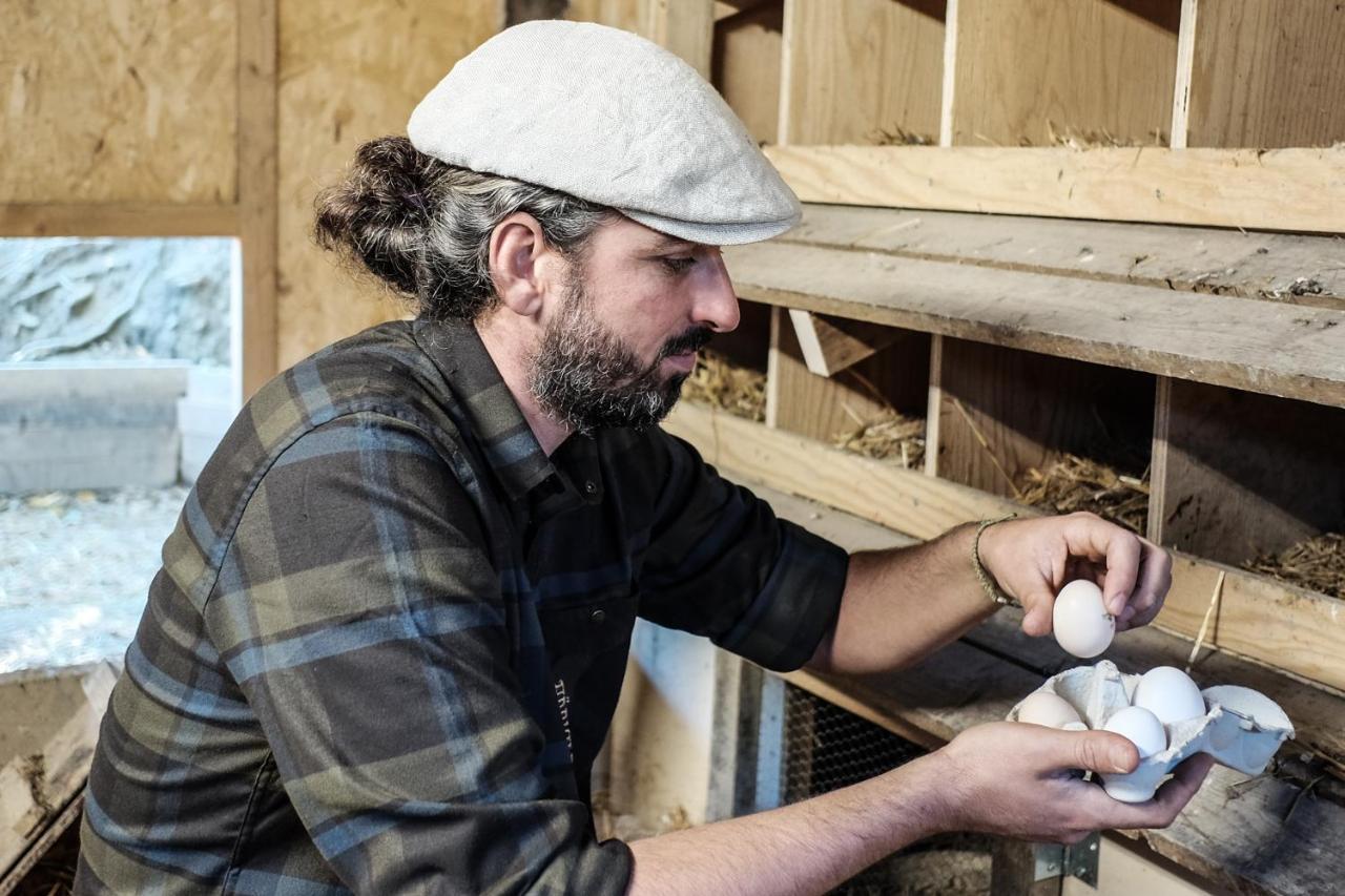 בניו די רומניה Agriturismo Biologico Autosufficienza מראה חיצוני תמונה