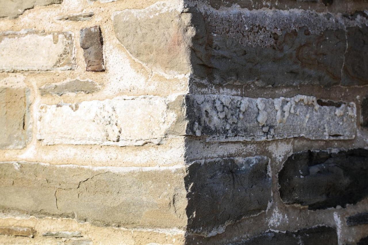 בניו די רומניה Agriturismo Biologico Autosufficienza מראה חיצוני תמונה