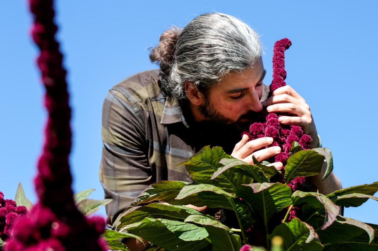 בניו די רומניה Agriturismo Biologico Autosufficienza מראה חיצוני תמונה