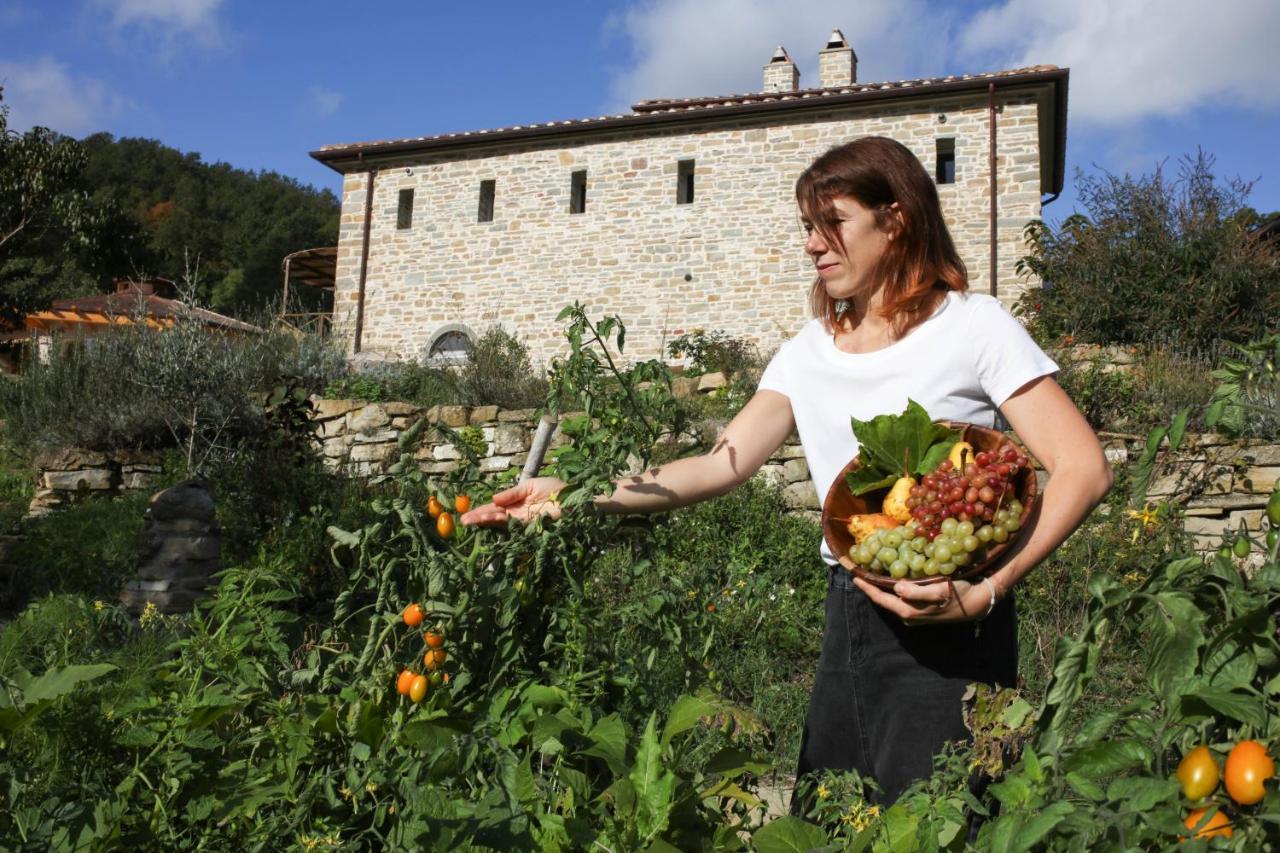 בניו די רומניה Agriturismo Biologico Autosufficienza מראה חיצוני תמונה